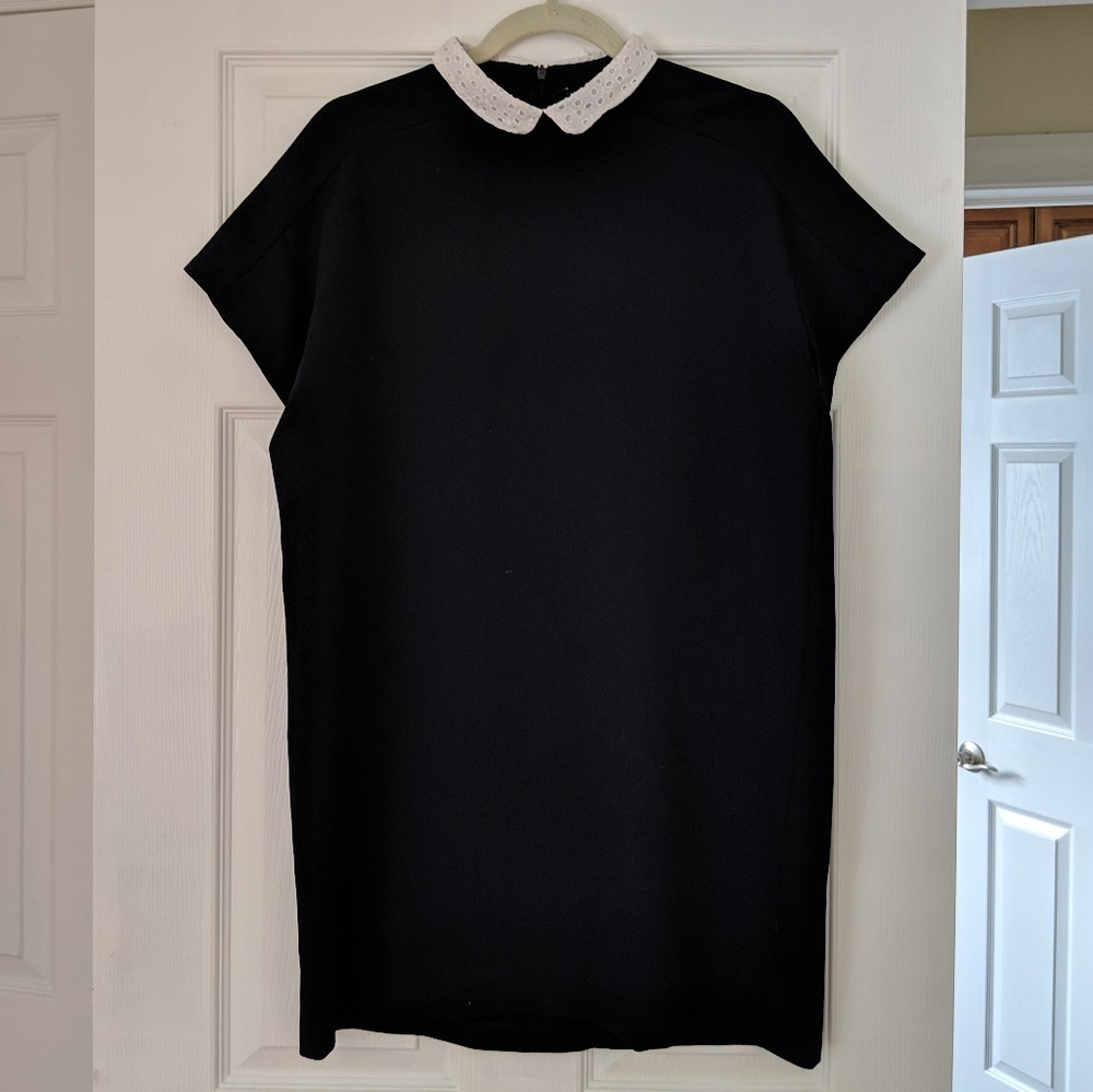 Zara dress